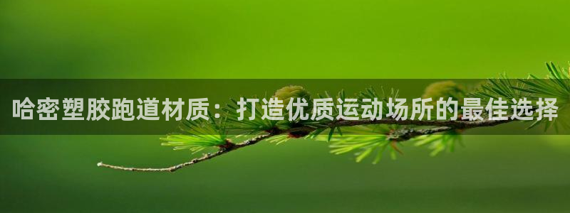 新2足球平台出租网站：哈密塑胶跑道材质：打造优质运动场所的最佳选择