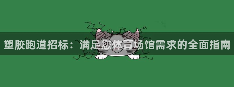 百度红足一1视频在线观看：塑胶跑道招标：满足您体育场馆需求的全面指南