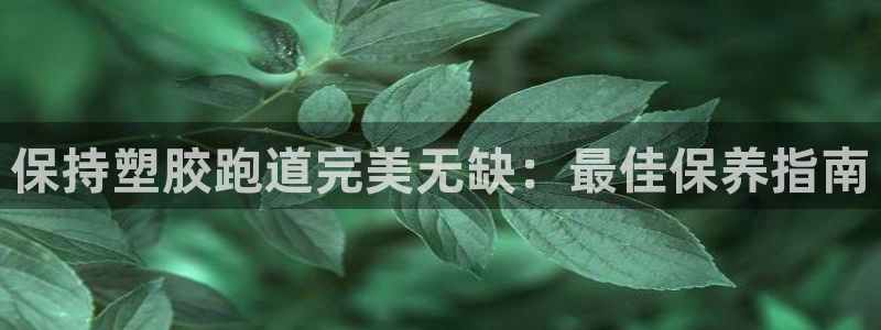 红足一1世比分：保持塑胶跑道完美无缺：最佳保养指南