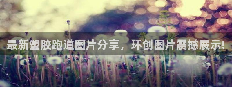 红足一1世：最新塑胶跑道图片分享，环创图片震撼展示!