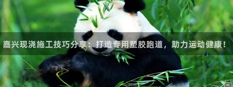 红足1世官网：嘉兴现浇施工技巧分享：打造专用塑胶跑道，助力运动健康！