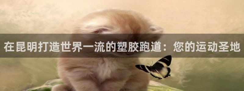 红足一1世：在昆明打造世界一流的塑胶跑道：您的运动圣地