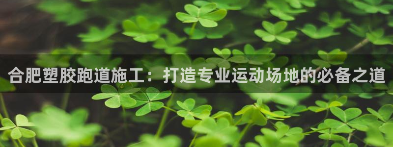 红足一1世比分网：合肥塑胶跑道施工：打造专业运动场地的必备之道