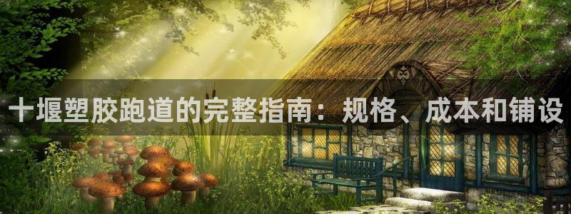 百度红足一1视频在线观看：十堰塑胶跑道的完整指南：规格、成本和铺设