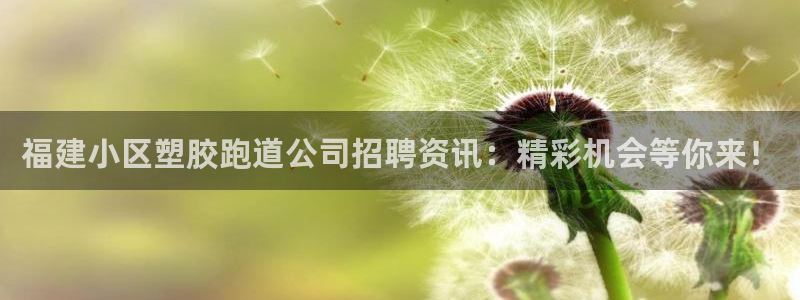 红足一1世开奖记录：福建小区塑胶跑道公司招聘资讯：精彩机会等你来！
