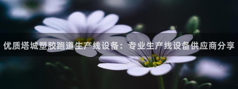 4633333开奖结果4176一点红：优质塔城塑胶跑道生产线设备：专业生产线设备供应商分享