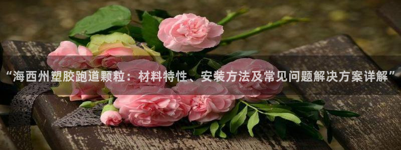 红世一足球比分：“海西州塑胶跑道颗粒：材料特性、安装方法及常见问题解决方案详解”