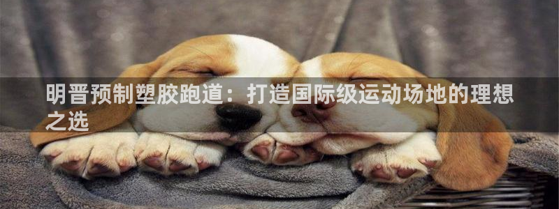 红足一1世：明晋预制塑胶跑道：打造国际级运动场地的理想
之选