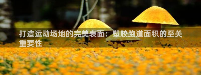 红足一1世比分球探：打造运动场地的完美表面：塑胶跑道面积的至关
重要性