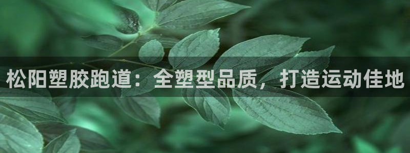 66814红足：松阳塑胶跑道：全塑型品质，打造运动佳地