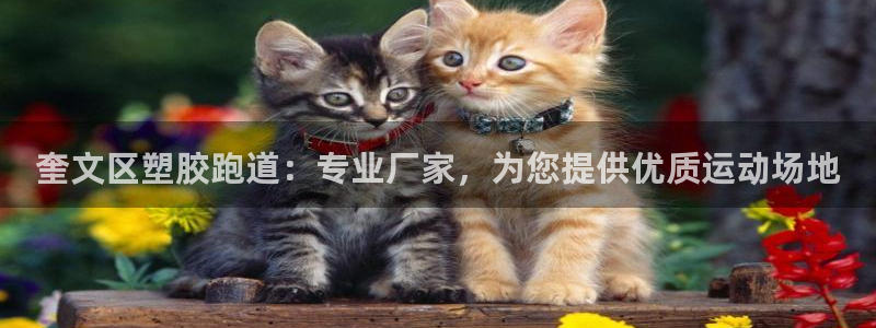 红足体育网：奎文区塑胶跑道：专业厂家，为您提供优质运动场地
