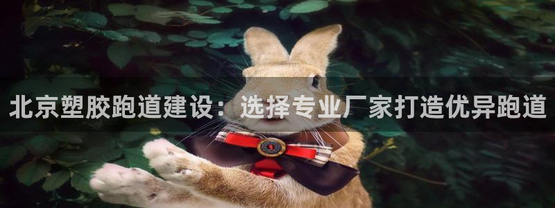红足体育网：北京塑胶跑道建设：选择专业厂家打造优异跑道