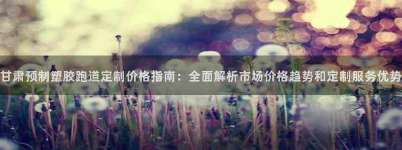 红足1世足球网址：甘肃预制塑胶跑道定制价格指南：全面解析市场价格趋势和定制服务优势
