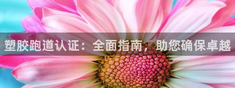 百度红足一1世：塑胶跑道认证：全面指南，助您确保卓越