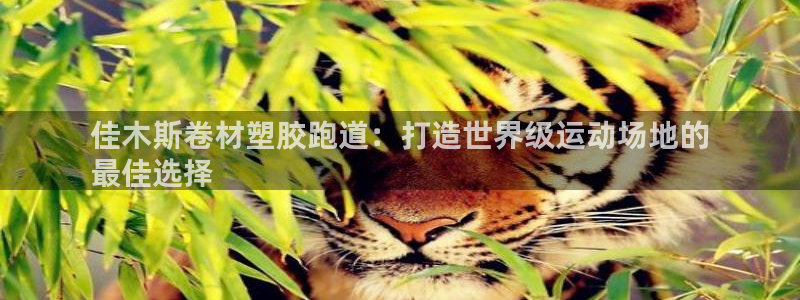 红足1一世足球手机：佳木斯卷材塑胶跑道：打造世界级运动场地的
最佳选择