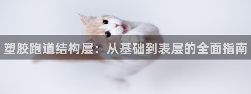 红足一1世官网比分：塑胶跑道结构层：从基础到表层的全面指南