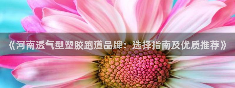 百度红足一1是什么样子的：《河南透气型塑胶跑道品牌：选择指南及优质推荐》