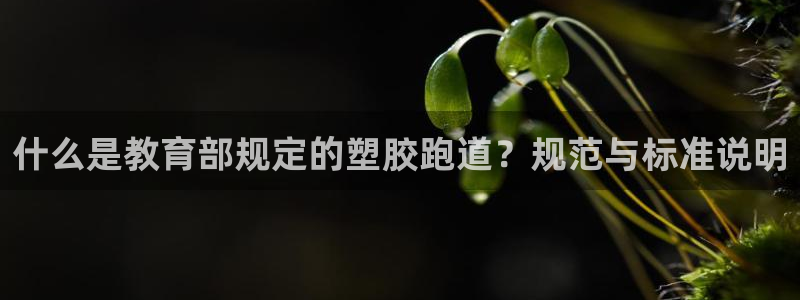 红足一1世66814：什么是教育部规定的塑胶跑道？规范与标准说明