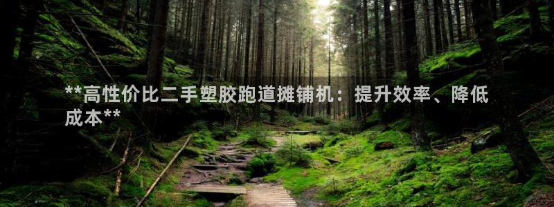 红足一球：**高性价比二手塑胶跑道摊铺机：提升效率、降低
成本**