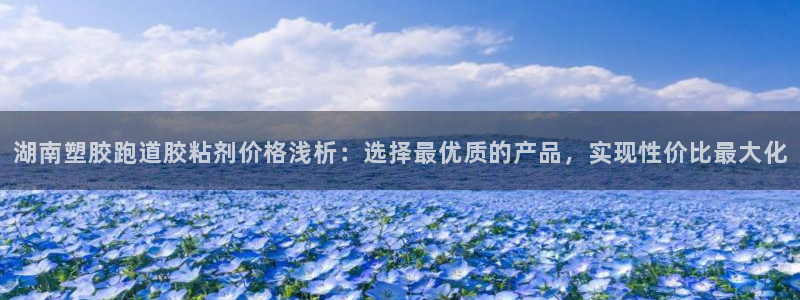 77814红足1世：湖南塑胶跑道胶粘剂价格浅析：选择最优质的产品，实现性价比最大化