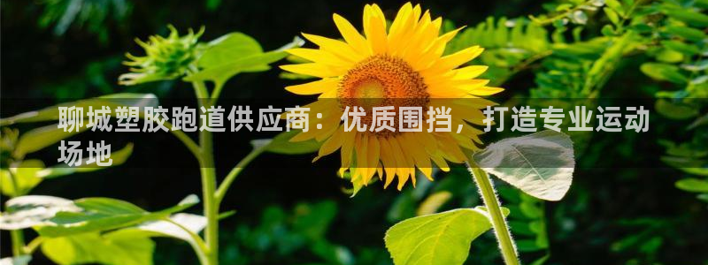 红足1世开奖预测