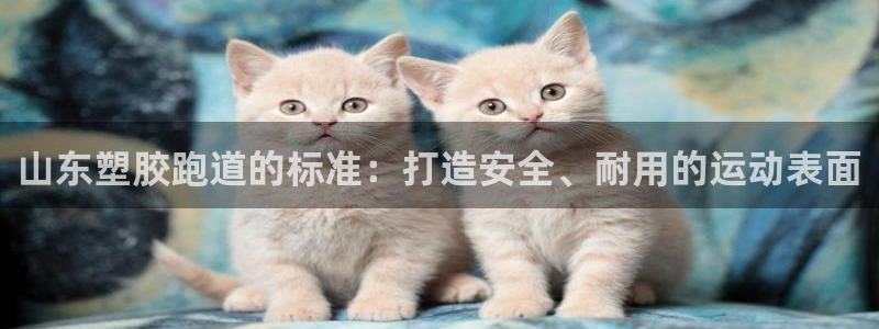 红足一1世手机版新皇冠：山东塑胶跑道的标准：打造安全、耐用的运动表面