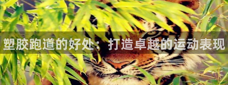 红足1世足球比分 localhost：塑胶跑道的好处：打造卓越的运动表现