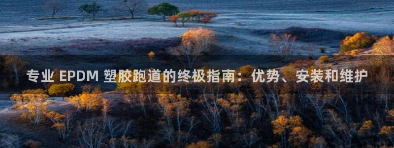 红足一1世666814足球