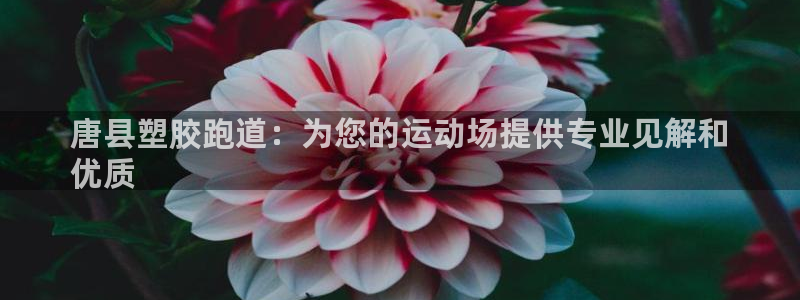 红足一1世手机版赛果