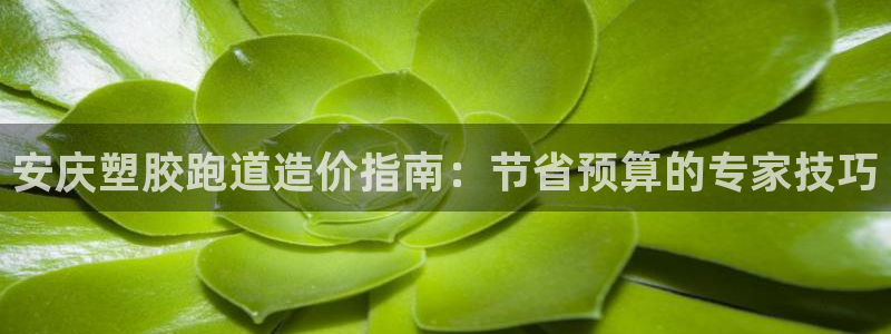 红足1一世：安庆塑胶跑道造价指南：节省预算的专家技巧