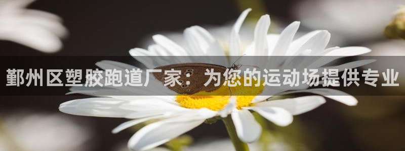 红足1世足球比分：鄞州区塑胶跑道厂家：为您的运动场提供专业