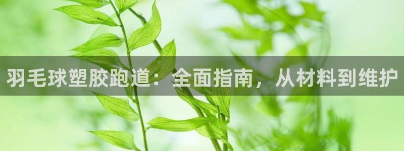 红足1世足球：羽毛球塑胶跑道：全面指南，从材料到维护