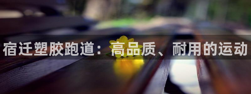 红足一1世：宿迁塑胶跑道：高品质、耐用的运动