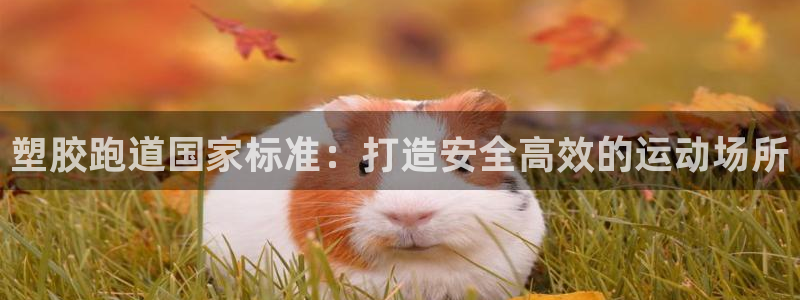 红足1世足球比分网址：塑胶跑道国家标准：打造安全高效的运动场所