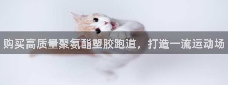 红足一1世66814：购买高质量聚氨酯塑胶跑道，打造一流运动场