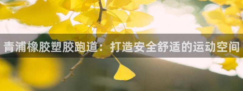 红足1一世：青浦橡胶塑胶跑道：打造安全舒适的运动空间