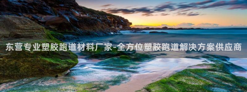 红足一1世666814足球比分网：东营专业塑胶跑道材料厂家-全方位塑胶跑道解决方案供应商