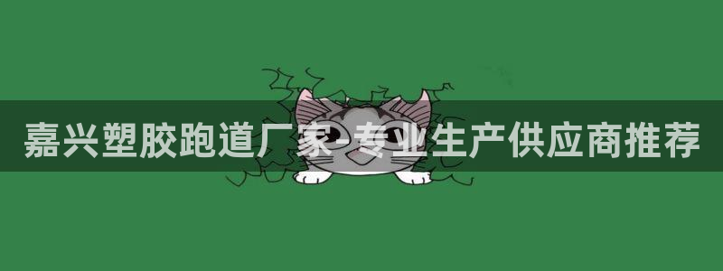 红足一生世：嘉兴塑胶跑道厂家-专业生产供应商推荐
